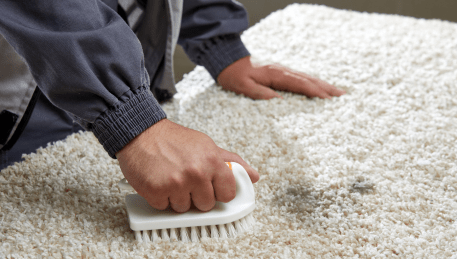 Professional Rug Cleaning Keon Park